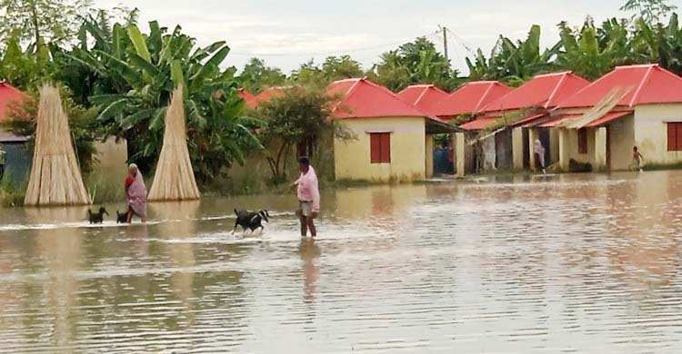 ফরিদপুরে পানিবন্দি আশ্রয়ণ প্রকল্পের ২৫০ পরিবার