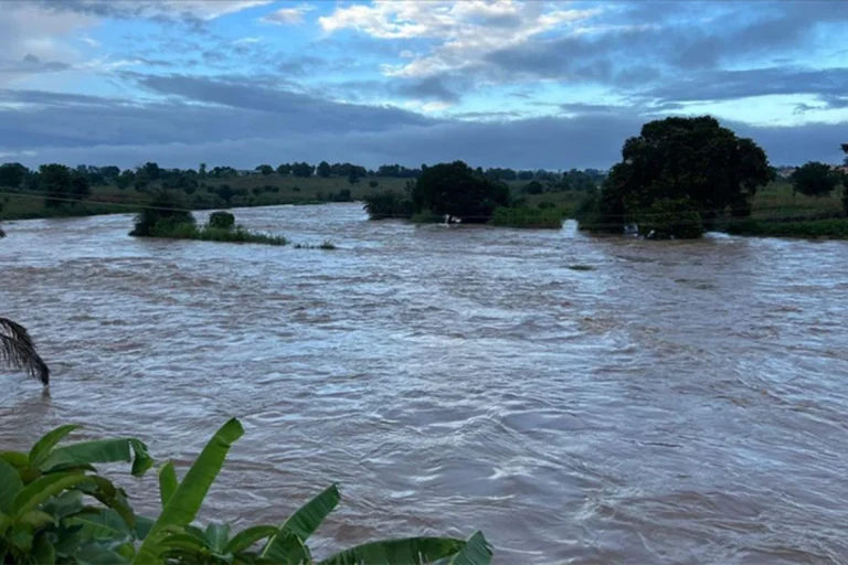 নাইজারে বন্যায় ৪৭ জনের মৃত্যু, গৃহহীন ৫৬ হাজারের বেশি মানুষ