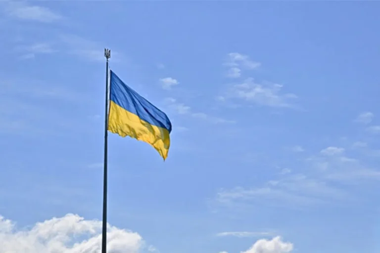 ইউক্রেনের স্বাধীনতা দিবসে রাশিয়ায় বড় ড্রোন হামলা, পরমাণু বিদ্যুৎকেন্দ্রে আগুন