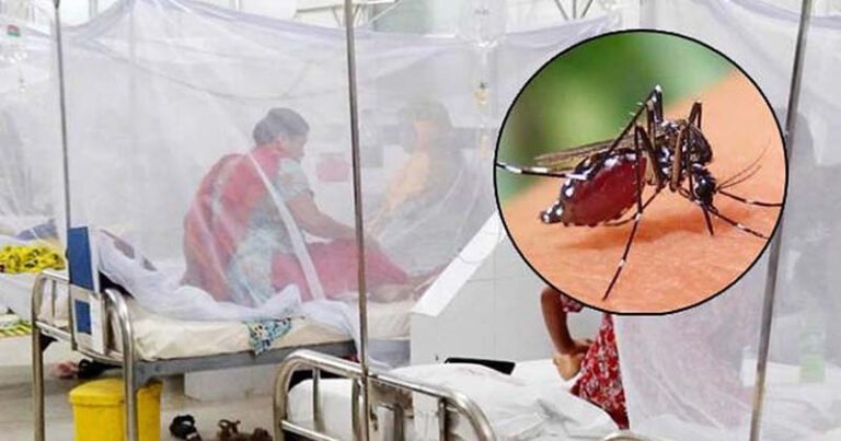 ডেঙ্গুতে আরও ৩ জনের মৃত্যু, নতুন আক্রান্ত ৫৮০