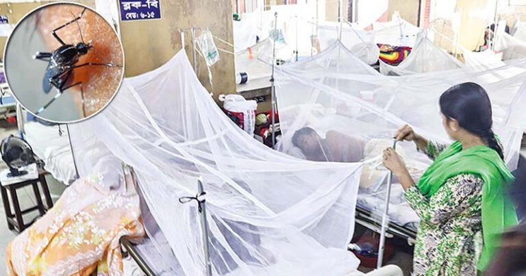 ডেঙ্গুতে একদিনে ৬ জনের মৃত্যু