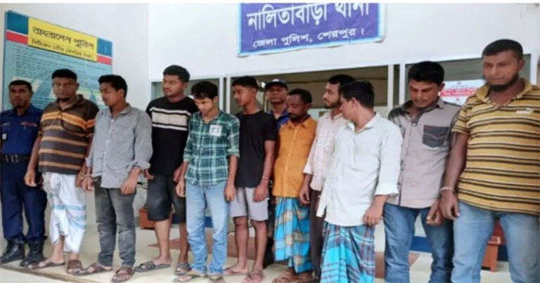 শেরপুরে পিডিবির তার চুরি: ৯ জন গ্রেপ্তার