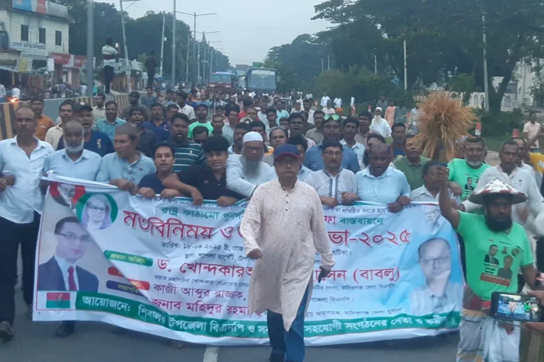 মানিকগঞ্জে বিএনপির সভা: ক্ষমতায় এলে ৩১ দফা বাস্তবায়নের ঘোষণা