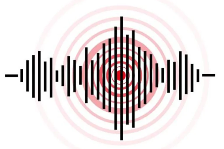 ইন্দোনেশিয়ায় শক্তিশালী ভূমিকম্পের আঘাত