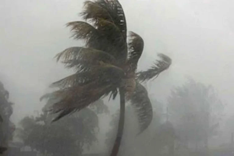 সারাদেশে দমকা হাওয়াসহ বৃষ্টির সম্ভাবনা