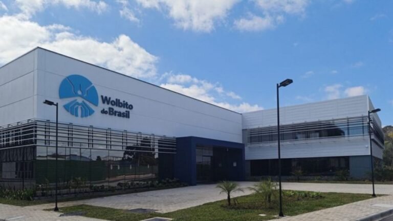 ডেঙ্গু ঠেকাতে ব্রাজিলের নতুন উদ্যোগ, সুরক্ষা পাবেন ১৪ কোটি মানুষ