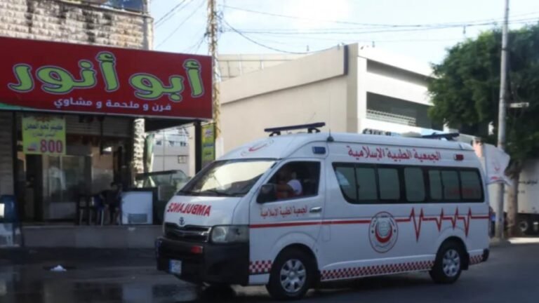 ইসরায়েলি হামলায় লেবাননের দক্ষিণাঞ্চলে মার্কিন শিশুসহ নিহত ৫