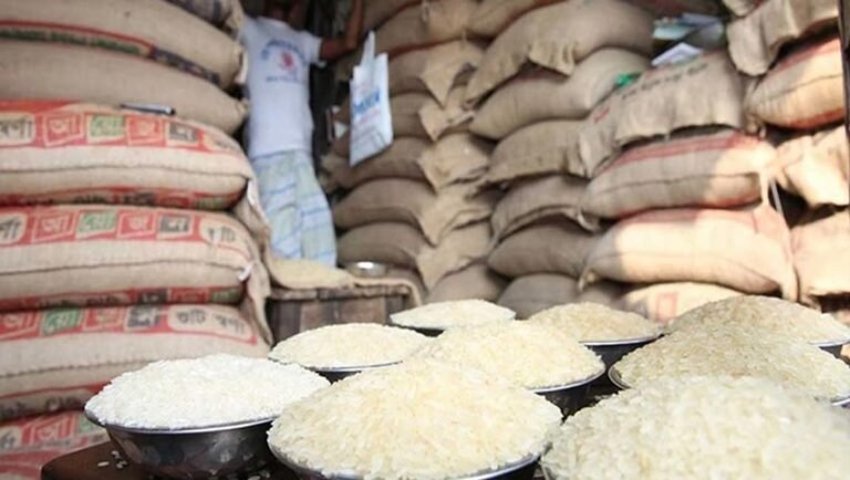 চালের দাম কমার ইঙ্গিত দিল পরিকল্পনা কমিশন
