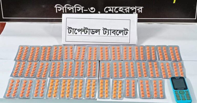 দৌলতপুরে ৪০০ পিস টাপেন্টাডল ট্যাবলেটসহ একজন গ্রেপ্তার