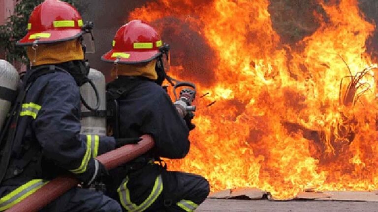 রাজধানীর সদরঘাটের পাইকারি বাজারে আগুন