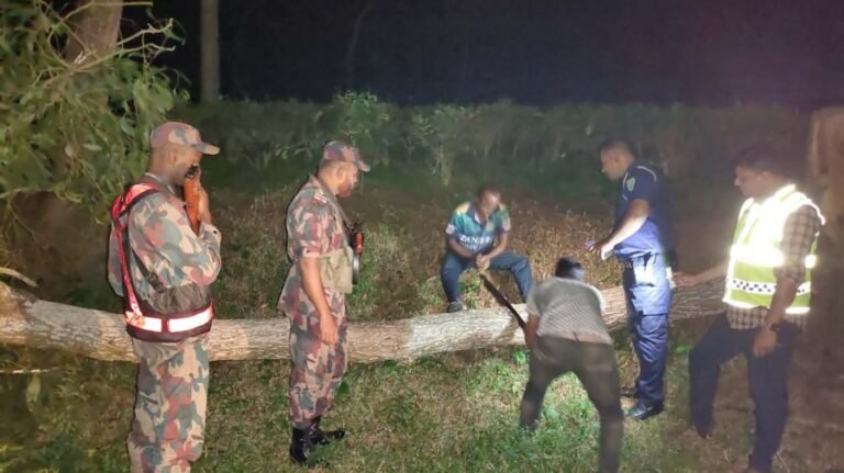 সাতছড়ি এলাকায় ডাকাতির চেষ্টা ব্যর্থ: বিজিবি ও পুলিশের যৌথ অভিযান