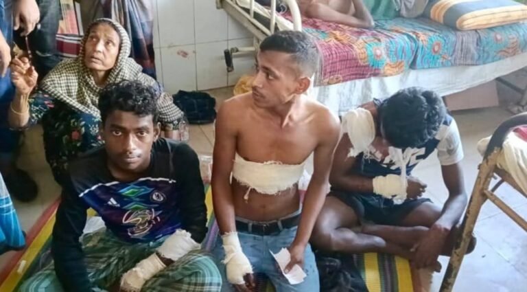 শেরপুরে জমি নিয়ে সংঘর্ষে এক নারীর মৃত্যু, আহত ৬