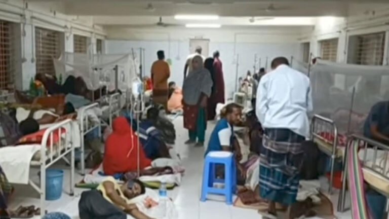 মহেশপুরে জামায়াত-বিএনপির সংঘর্ষ, আহত ৬