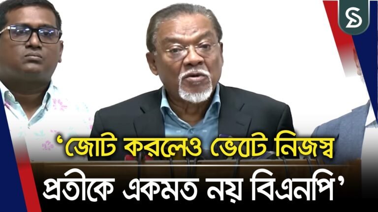 আরপিও সংশোধনীতে বিএনপির আপত্তি কোথায়, জানালেন ইসমাইল জবিউল্লাহ