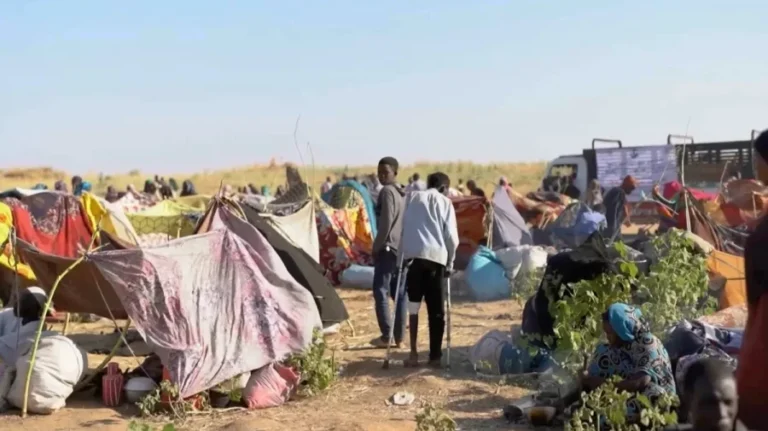 সুদানের উত্তর করদোফানে আরএসএফের ড্রোন হামলায় ৪০ বেসামরিক নিহত