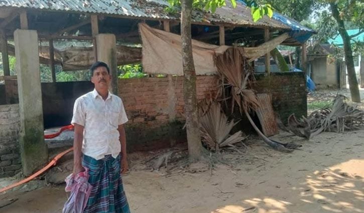 গাজীপুরের শ্রীপুরে বিএনপি নেতাসহ দুই বাড়িতে লুট, গোয়ালঘর থেকে চুরি হলো ৫ গরু