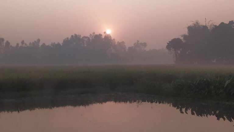 পঞ্চগড়ে কমছে তাপমাত্রা, সর্বনিম্ন ১৩.৩ ডিগ্রি সেলসিয়াস রেকর্ড
