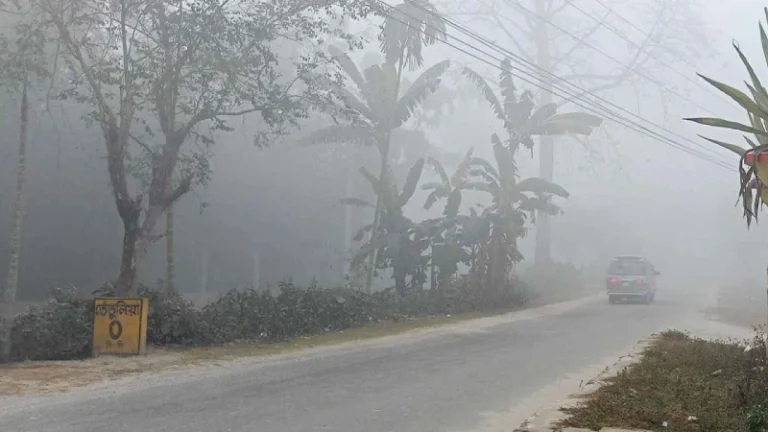 পঞ্চগড়ে আরও নামল তাপমাত্রা: তেঁতুলিয়ায় দেশের সর্বনিম্ন রেকর্ড ১৩.৯° সেলসিয়াস