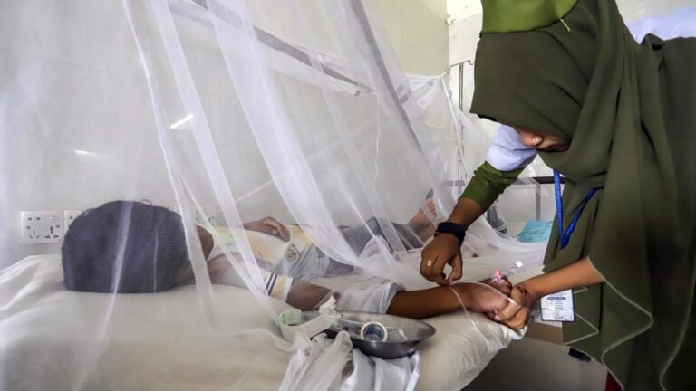 ডেঙ্গুতে আরও ৭ জনের মৃত্যু, হাসপাতালে নতুন ৫৬৭ রোগী ভর্তি