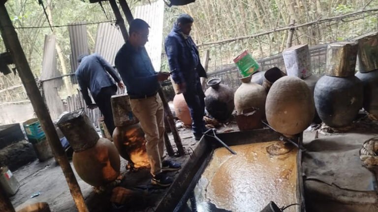 রাজবাড়ীতে গুড় কারখানায় অভিযান: রাসায়নিকসহ ১০০ মণের বেশি গুড় ধ্বংস