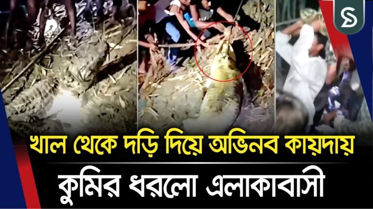 মানিকগঞ্জে খাল থেকে অভিনব কায়দায় কুমির ধরলো এলাকাবাসী, ভিডিও ভাইরাল