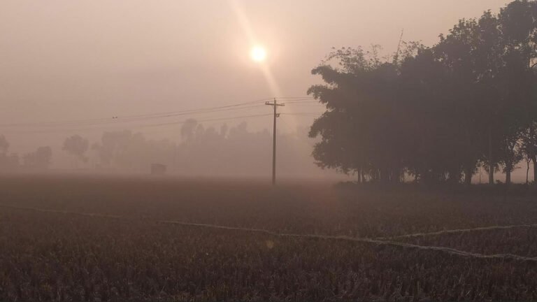 পঞ্চগড়ে শীতের তীব্রতা বৃদ্ধি, তেঁতুলিয়ায় তাপমাত্রা নেমে ১১ ডিগ্রি