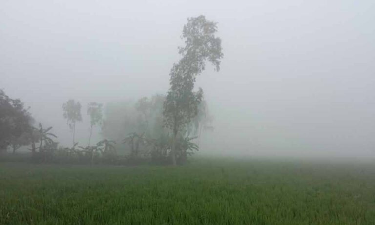 পঞ্চগড়ে টানা পাঁচ দিন ১০ ডিগ্রির ঘরে তাপমাত্রা, বাড়ছে শীতজনিত রোগী