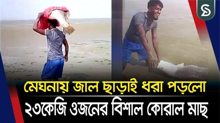 হাতিয়ায় মেঘনায় জাল ছাড়াই ধরা পড়লো ২৩কেজি ওজনের বিশাল কোরাল মাছ