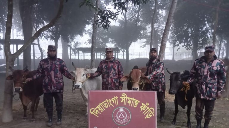 কুড়িগ্রাম সীমান্তে বিজিবির অভিযানে প্রায় ২৯ লাখ টাকার চোরাচালান পণ্য জব্দ