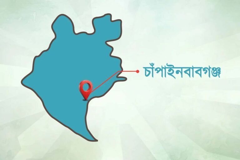 সীমান্ত পেরিয়ে আসা দুই ভারতীয় নাগরিককে ফেরত দিল বিজিবি