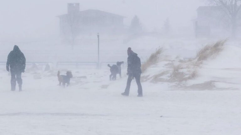 তুষারঝড়-তীব্র ঠান্ডায় বিপর্যস্ত যুক্তরাষ্ট্র, ৩০ জনের মৃত্যু