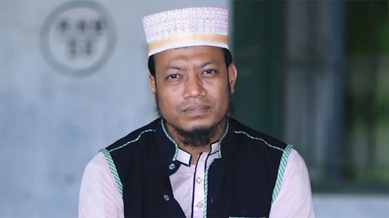 নির্বাচনী প্রচারণার সময় আমার আম্মাকে লাঞ্ছিত করা হয়েছে: আমির হামজা