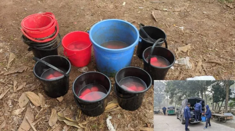 শরীয়তপুরের নড়িয়ায় যৌথ অভিযানে ৯৫টি ককটেল উদ্ধার, আটক ৩