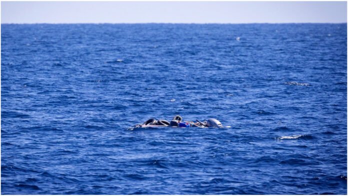 লিবিয়া উপকূলে অভিবাসীবাহী নৌকা ডুবে নিহত অন্তত ৫৫