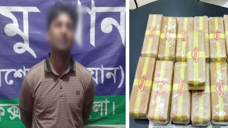 রামুতে নম্বরবিহীন মিনি ট্রাক ধাওয়া করে দেড় লাখ ইয়াবাসহ একজন গ্রেপ্তার