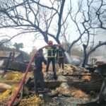 হরিরামপুরে ভয়াবহ অগ্নিকাণ্ড: মন্দিরসহ ১৪ দোকান ভস্মীভূত