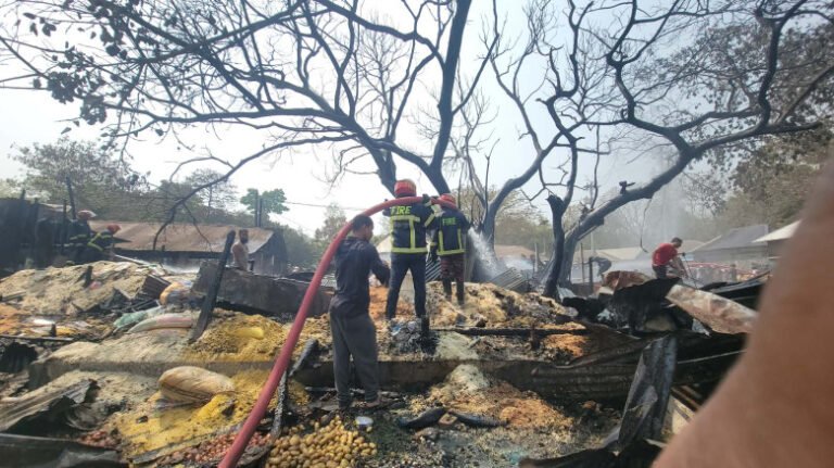 হরিরামপুরে ভয়াবহ অগ্নিকাণ্ড: মন্দিরসহ ১৪ দোকান ভস্মীভূত