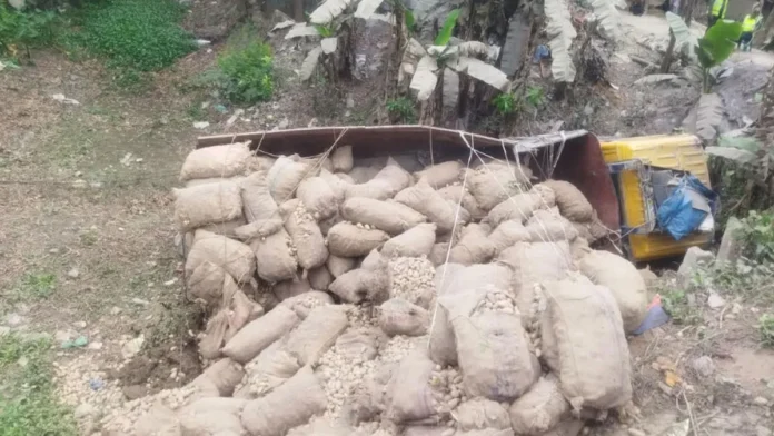 রাজবাড়ীতে নিয়ন্ত্রণ হারিয়ে ট্রাক খাদে, চালকের মৃত্যু