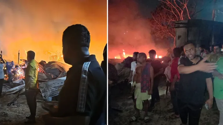 মোহাম্মদপুরে সাদেক খান আড়তে আগুন, প্রায় এক ঘণ্টার চেষ্টায় নিয়ন্ত্রণে