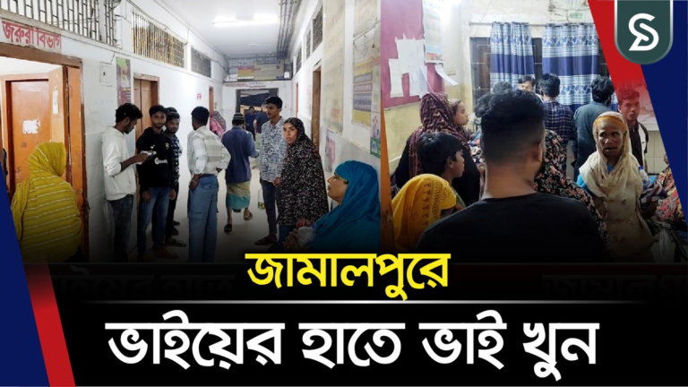 জামালপুরে ভাইয়ের হাতে ভাই খুন