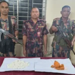 বেনাপোল বন্দর সংলগ্ন এলাকা থেকে ২.৮ কেজি বিস্ফোরক উদ্ধার