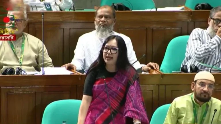 মনোনয়ন না দেওয়ায় বিএনপিকে ধন্যবাদ রুমিন ফারহানার