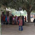 বগুড়া-৬ ও শেরপুর-৩ আসনে ভোটগ্রহণ শুরু