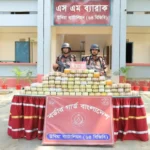 বিজিবির ইতিহাসের সর্বোচ্চ ইয়াবা জব্দ: একদিনেই উদ্ধার ১০ লাখ ৫৯ হাজার পিস