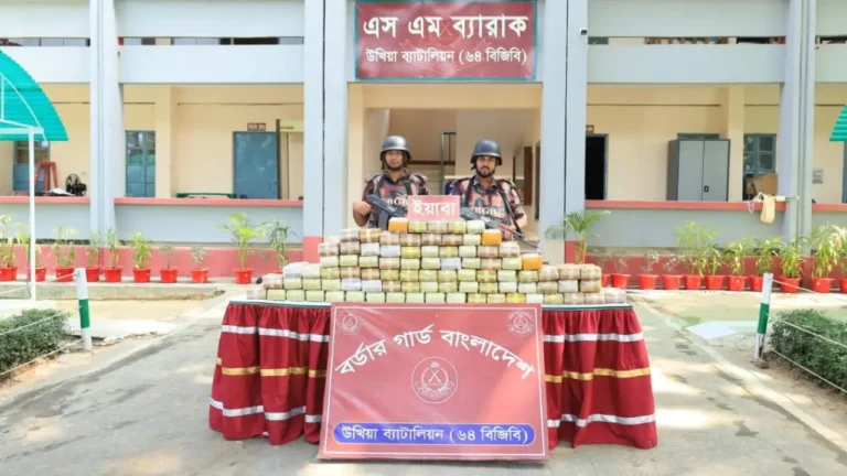 বিজিবির ইতিহাসের সর্বোচ্চ ইয়াবা জব্দ: একদিনেই উদ্ধার ১০ লাখ ৫৯ হাজার পিস