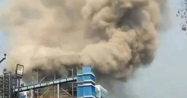 ভারতে তাপবিদ্যুৎ কেন্দ্রে বিস্ফোরণে নিহত ১১