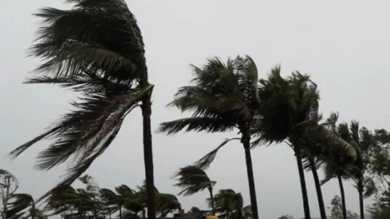 ৬০ কিমি বেগে দমকা হাওয়া-বৃষ্টির আভাস, নৌবন্দরে সতর্ক সংকেত