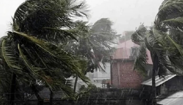 দুপুরের মধ্যে যেসব জেলায় ঝড়বৃষ্টি হতে পারে