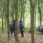 বান্দরবানে রাবার শ্রমিক অপহরণ, সেনা অভিযানে উদ্ধার ৬