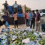 সাতক্ষীরায় বিপুল পরিমাণ রাসায়নিক মিশ্রিত আম জব্দ